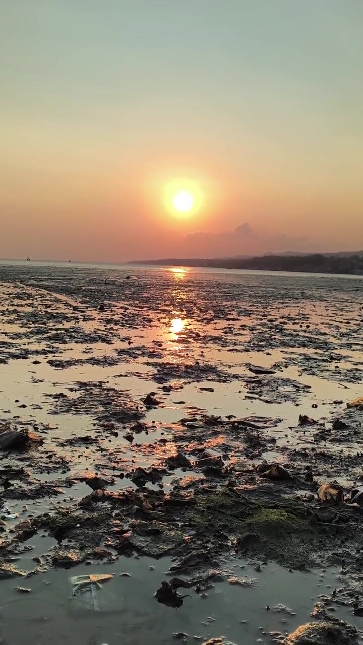 Golden Sunset Over Muddy Beach at Low Tide