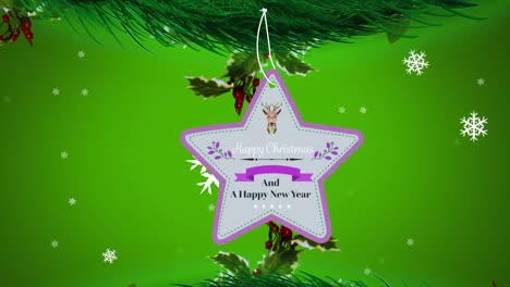 Animation-of-christmas-greetings-on-tag-on-green-background