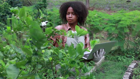 farmer analyze and research agricultural crops