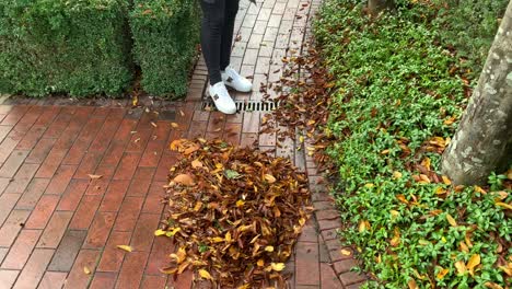 woman raking leaves in autumn garden