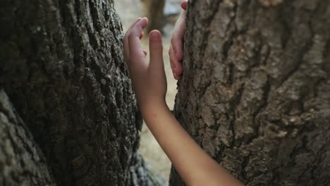Niño-Abraza-Alrededor-De-Un-árbol-Mostrando-Su-Amor-Por-La-Naturaleza