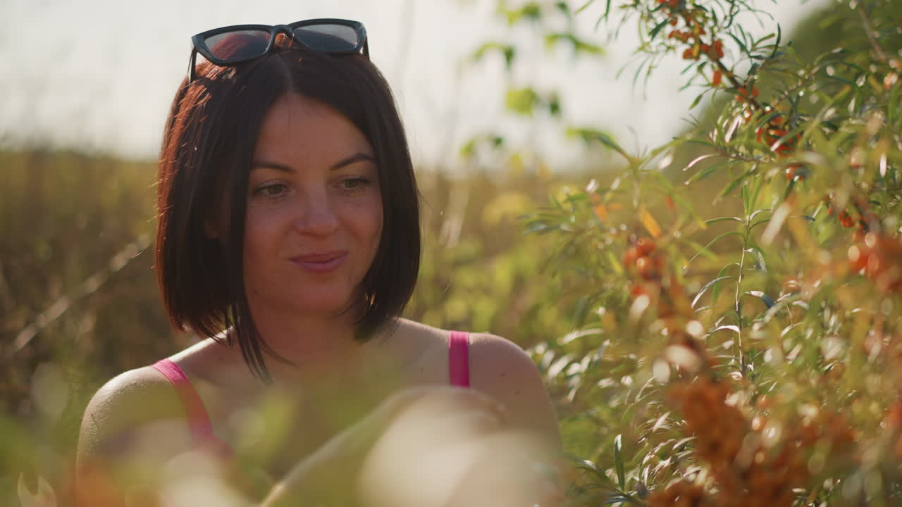 Mujer caucásica sonriendo mientras recoge bayas de espino amarillo en un campo dorado con gafas de sol sobre la cabeza, luz de fondo cálida en el corte bob, manos suaves seleccionando fruta madura, escena de cosecha de estilo de vida relajado, natural