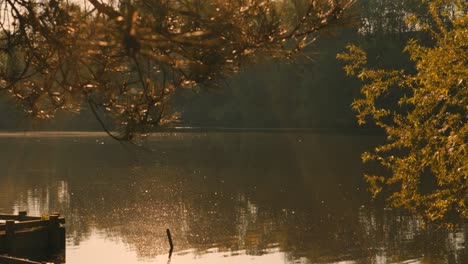 establishing shot of lake with camera lowering to reveal sunrise golden pond in slow motion