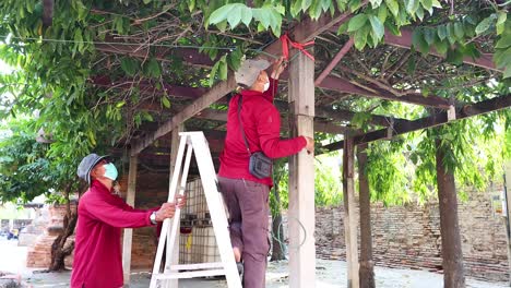 two workers repairing a wooden structure in ayutthaya