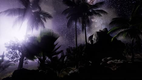 la galaxia de la vía láctea sobre la selva tropical.