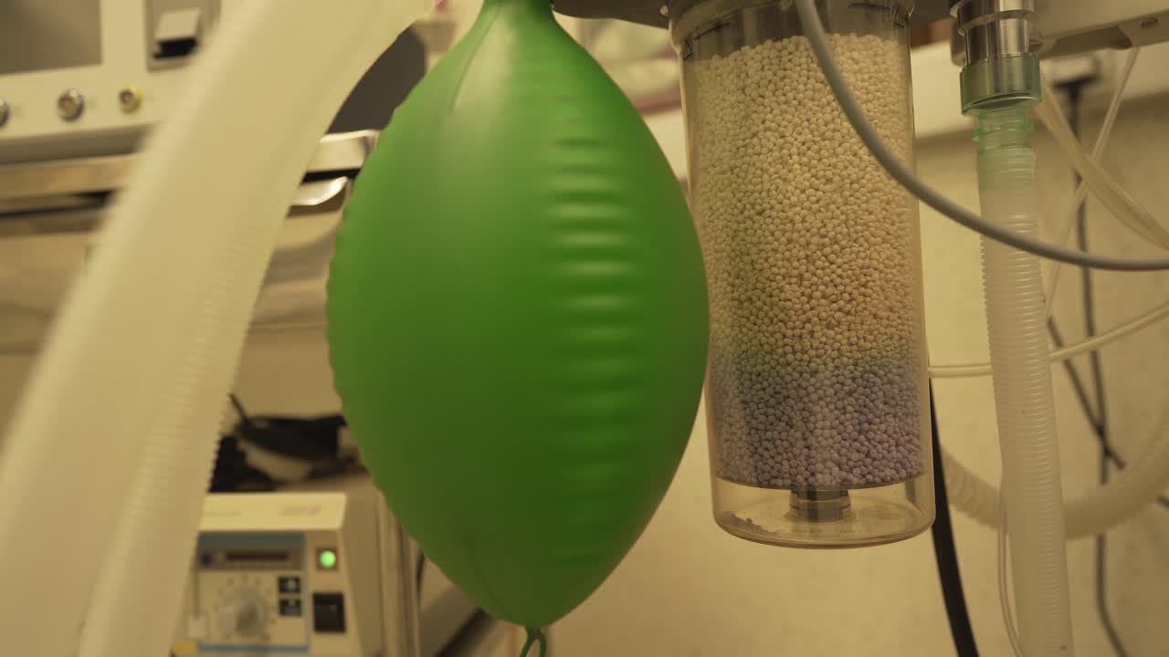 bolsa de reserva de la máquina anestésica de caucho verde para la ventilación manual de pacientes con coronavirus en el hospital de la unidad de cuidados intensivos