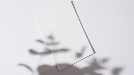 video of shadow of plant over book with blank white pages and copy space on white background