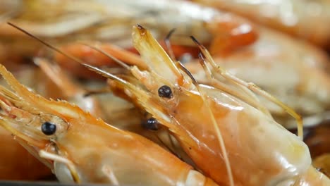 exhibición de mariscos cocidos, de cerca