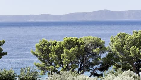 Vista-Al-Mar-Azul-Con-árboles