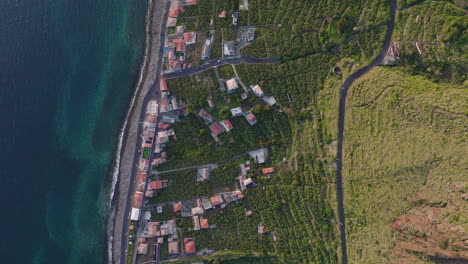 terraced farm fields on madeira mountain slope, paul do mar