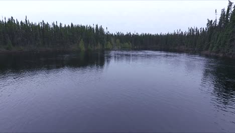 A-group-of-wild-ducks-fly-over-a-blue-lake