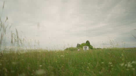 a drawer wearing a hat and checkered shirt is intensely focused on painting at an easel in a vibrant grass field under a cloudy sky. nearby, a woman in a hat and white gown sits