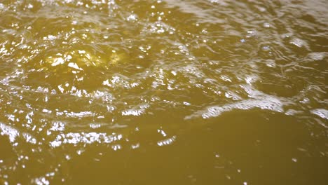 bubbling water in water tank. aquaculture pool oxygenation