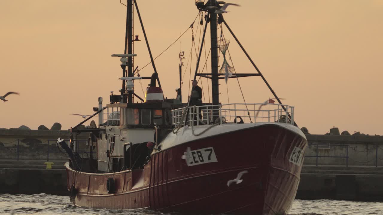 A fishing boat arriving in the harbour at dusk surrounded by flocks of seagulls