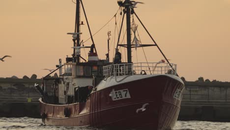 a fishing boat arriving in the harbour at dusk surrounded by flocks of seagulls