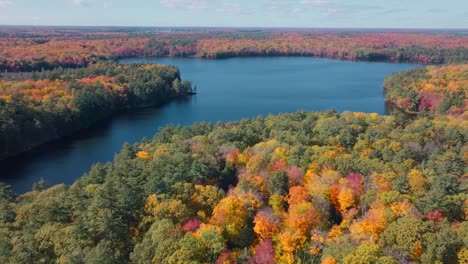 a serene lake surrounded by vibrant autumn forests in muskoka, aerial view