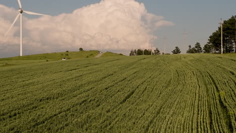 generador de viento giratorio sobre el campo de cultivo en maduración en georgia al atardecer