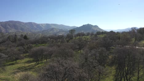 Los-Buitres-Rodean-El-Cielo-Señalando-La-Muerte-En-Algún-Lugar-Del-Paisaje-Montañoso-De-Tehachapi-Durante-La-Primavera