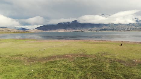 panoramic view of horses and a person in a vast grassy field by a large lake, with distant mountains and a town under a cloudy sky