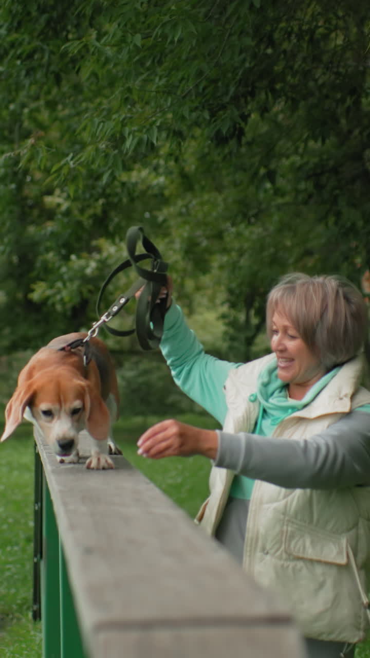 anciana caucásica guiando a un beagle en una viga en un parque, ofreciendo un estímulo suave mientras el perro camina con cuidado a través de una viga de equilibrio de madera, la correa se mantiene tensa, árboles verdes al fondo, clima cálido y nublado