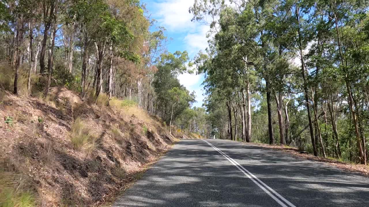 un viaje en coche a lo largo de un camino de bosque sinuoso