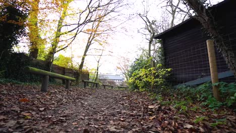 Gehen-Durch-Den-Wald-In-Wegweise-Mit-Bänken-Und-Einer-Kleinen-Hütte-In-Zeitlupe