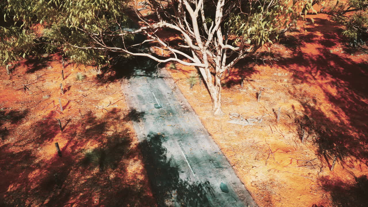 La carretera de África occidental a través del desierto de la sabana