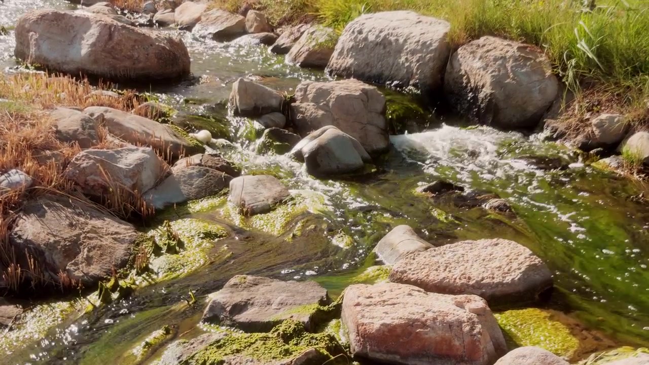 Static shot with current moving diagonally past boulders and green algae.