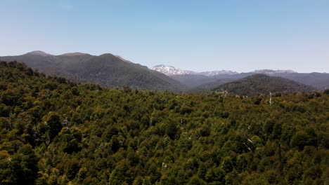 Aerial-shot-of-forest-in-south-of-Chile