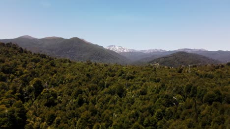 toma aerea del bosque en el sur de chile