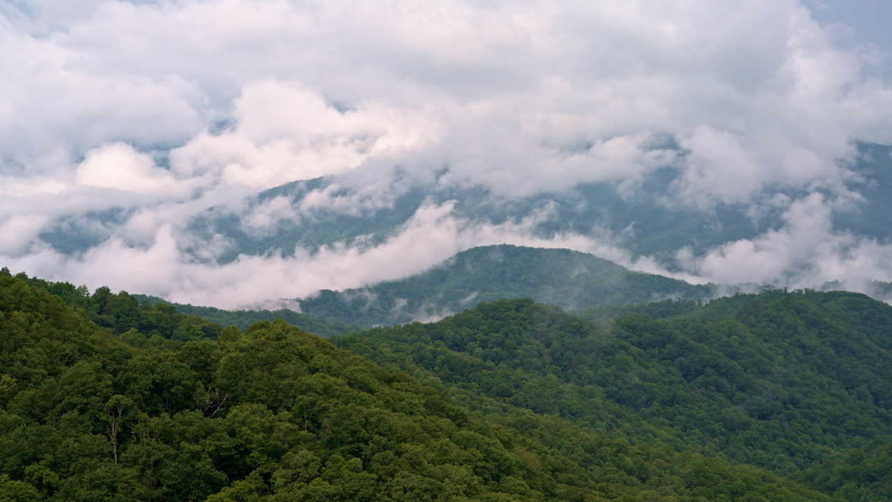 Fog and cloud formations dance above the forest canopy — cinematic drone view