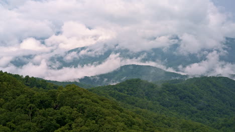 fog and cloud formations dance above the forest canopy — cinematic drone view