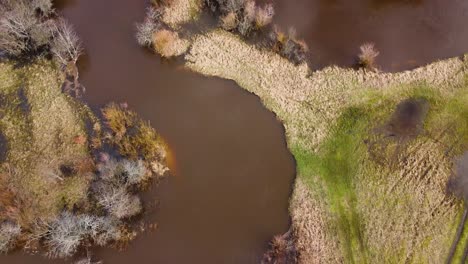 aerial birdseye view of scenic landscape of vast flooded sventaja river and coast line bushes in overcast spring day, wide angle drone shot moving backward