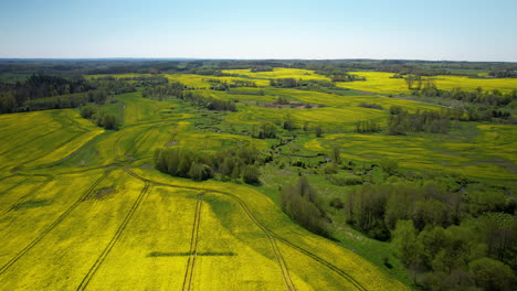 paisaje surrealista de ensueño de exuberantes granjas de colza y canola, polonia