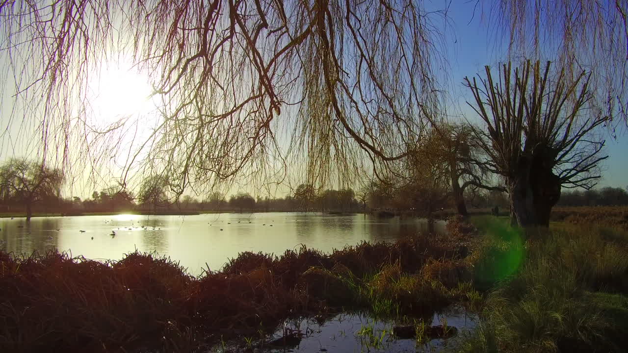 lago de campo en un brillante día de invierno, movimiento de cámara hacia adelante