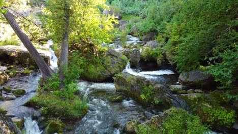 cascadas naturales y ríos