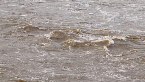 flooding waters in a river, vaal river south africa