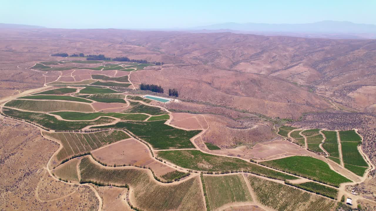 Bird's eye view establishing an oasis-like vineyard hidden among the arid mountains of the Fray Jorge, Limar&iacute; Valley, Chile