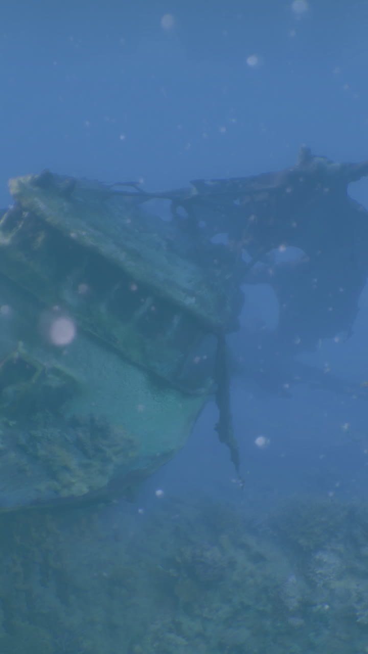 Sunken shipwreck exploration in clear ocean waters reveals marine life