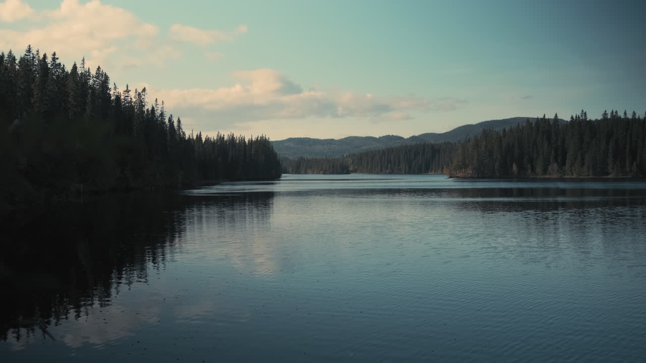 Aerial shot of lake in between the forest in Norway