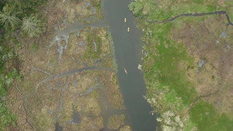 Far-away-top-down-drone-shot-of-a-canoe-and-two-kayaks-being-paddled-through-an-estuary