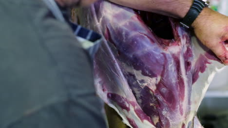 caucasian butcher cuts and pulls skin off springbuck antelope carcass