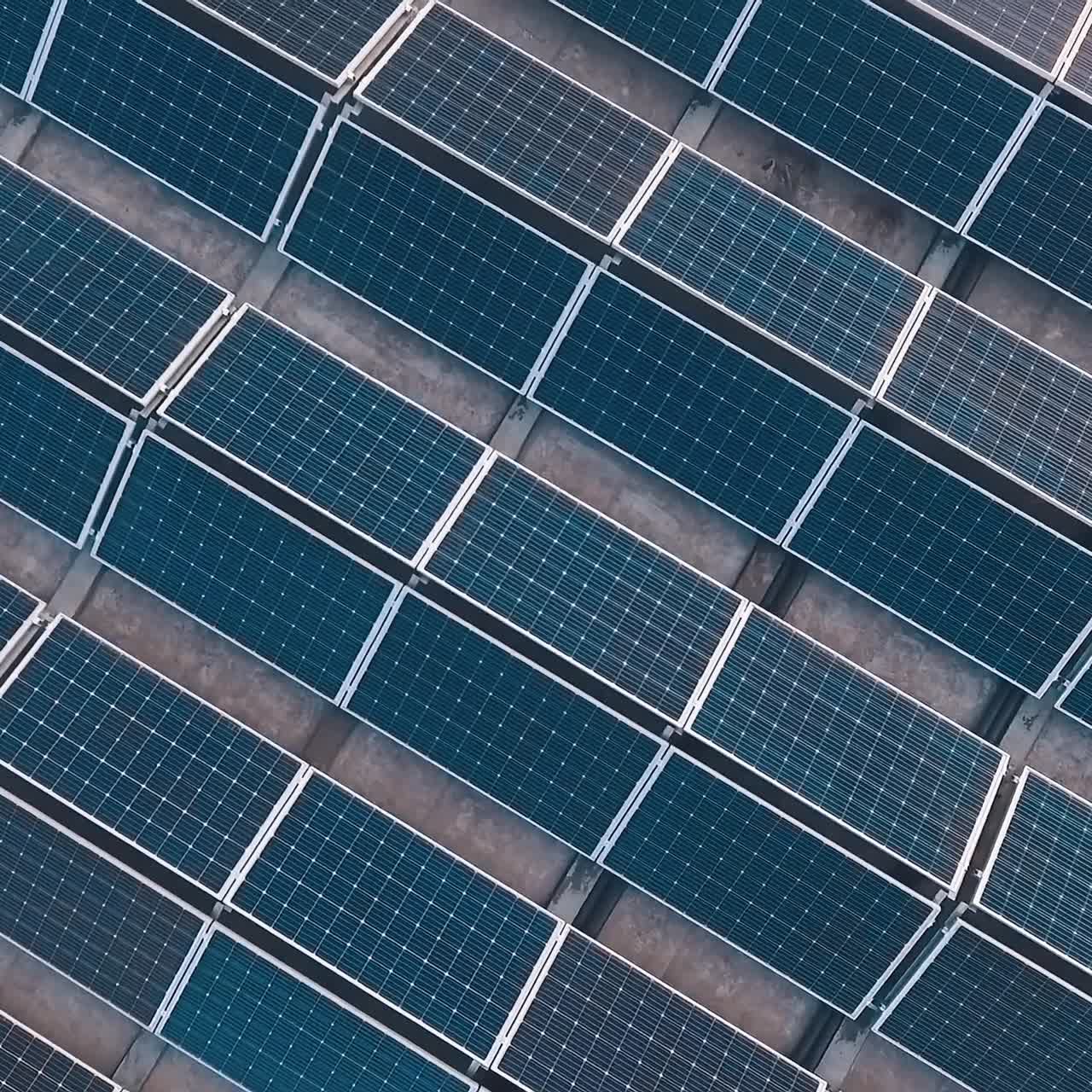 Top view on solar panels at evening sunset. Flight over the rows of blue photovoltaic panels. Renewable ecological energy.