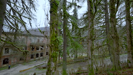 abandoned building in a forest