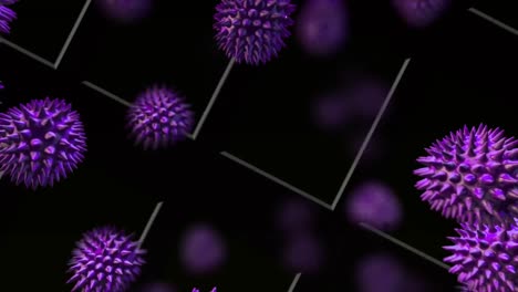 Digital-animation-of-multiple-purple-covid-19-cells-floating-against-white-lines-on-black-background