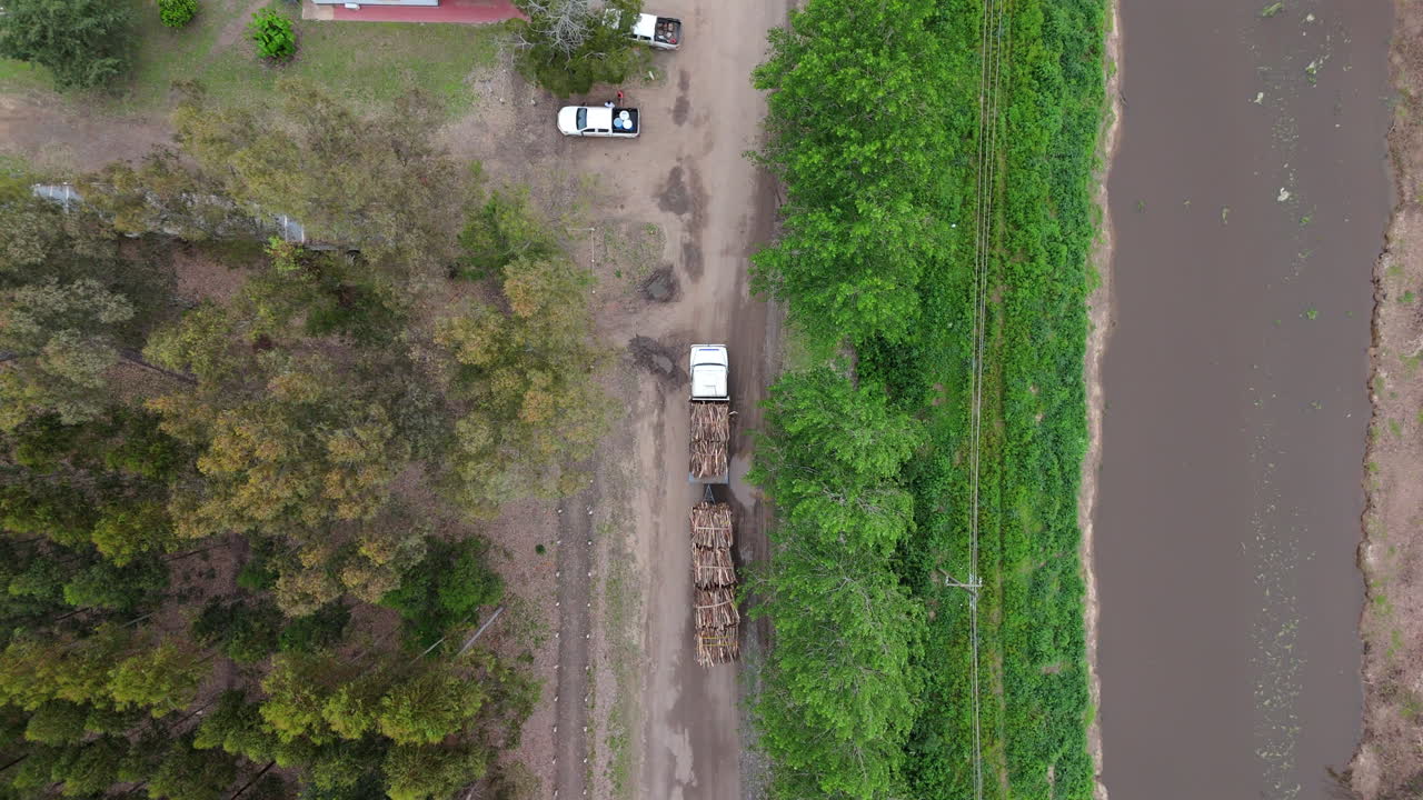 Bird's eye drone shot going over long white truck carrying wooden logs on dirt road. Scene portrays tree rows on both sides of road with few cars parked.