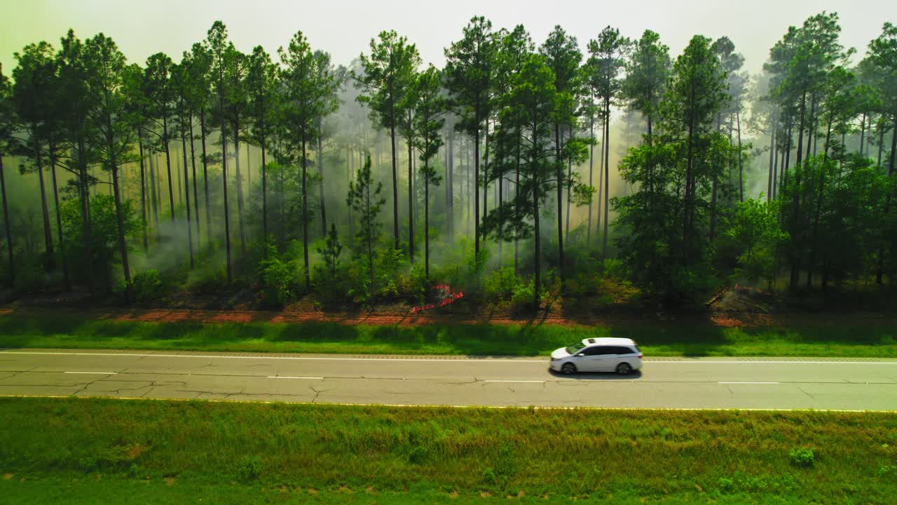 Forest Fire Burning Through Pine Trees Along Rural Highway with Smoke Drifting Through Woods. Georgia, USA