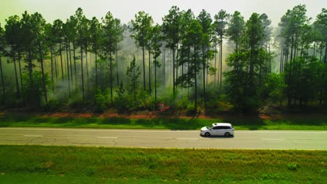 forest fire burning through pine trees along rural highway with smoke drifting through woods. georgia, usa