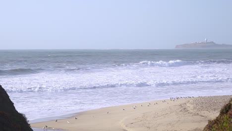 Klippen,-Strand,-Vögel,-Wellen-Und-Das-Meer