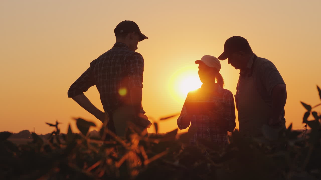 Un gruppo di agricoltori nel campo si stringe la mano, agroindustria familiare, lavoro di squadra nell'agroindustria.